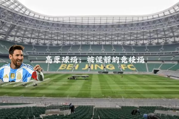 高原球场：被误解的竞技场
